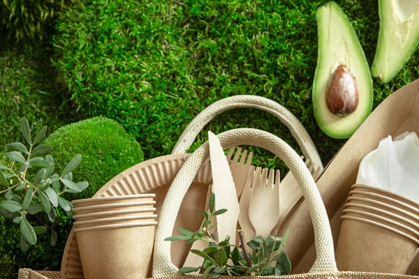 Redefining Everyday Essentials with Sustainable Style