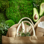 Redefining Everyday Essentials with Sustainable Style