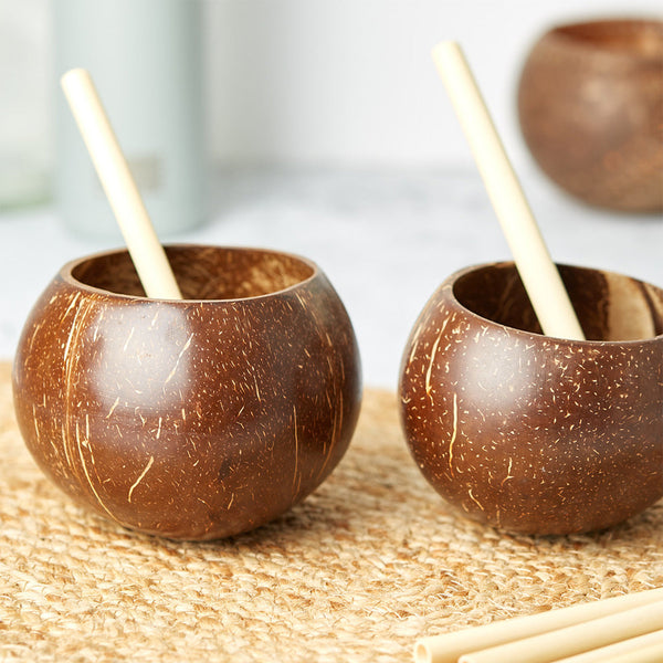 Natural Coconut Shell Cups (Set of 2)-1