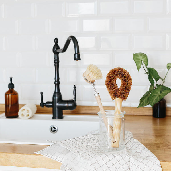 Plant Based Kitchen Scrubber Brush (6 Piece Starter Set)-2