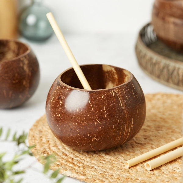 Natural Coconut Shell Cups (Set of 2)-0
