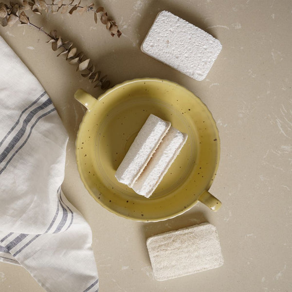 Eco Dish Sponges (Pack of 4)-1