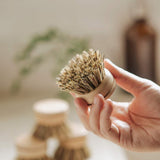 Plant Based Kitchen Scrubber Brush (6 Piece Starter Set)-6