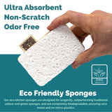 Eco Dish Sponges (Pack of 4)-2