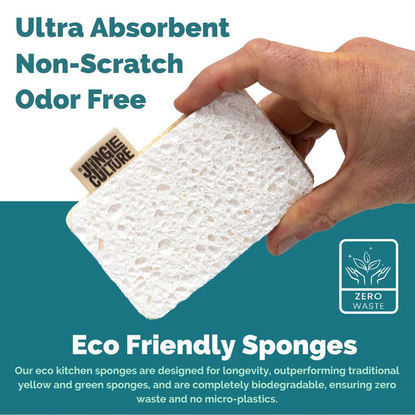 Eco Dish Sponges (Pack of 4)-2