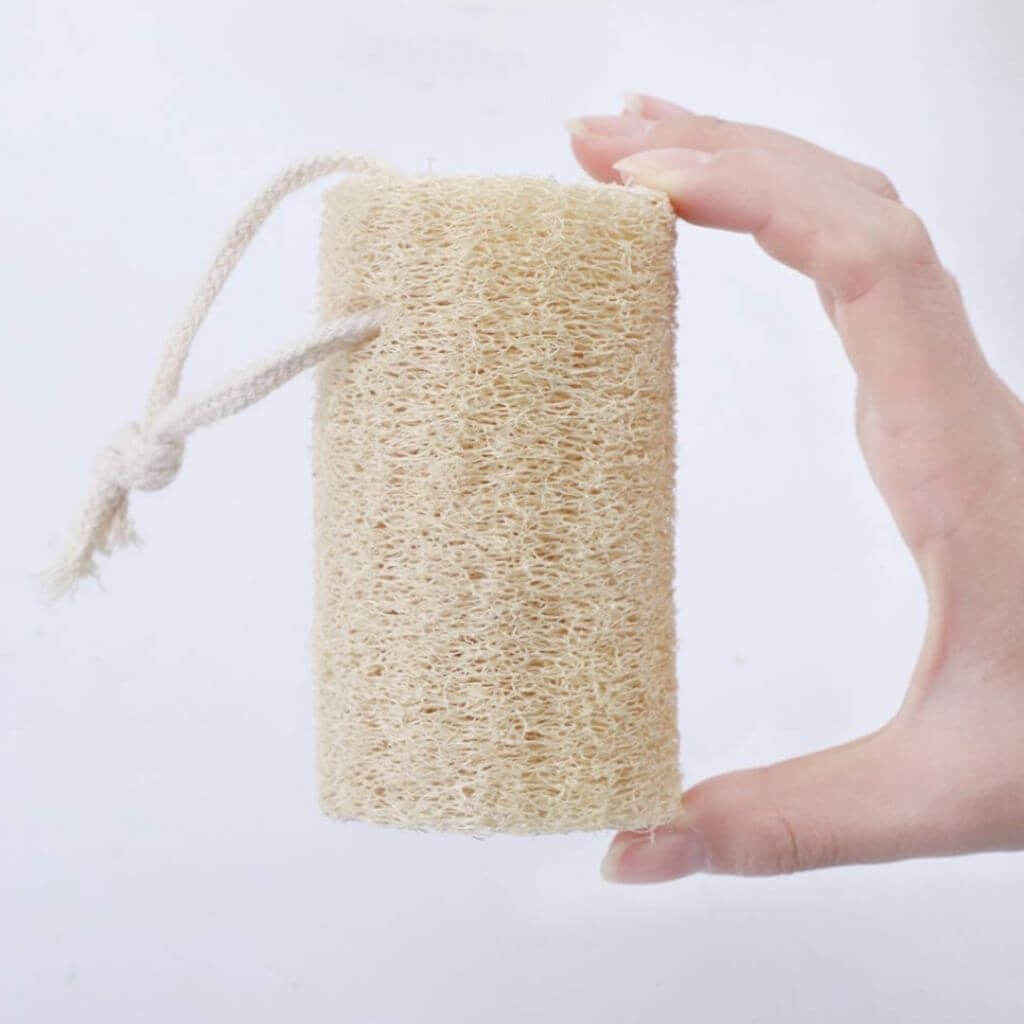 Organic Exfoliating Sponge-1
