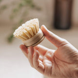 Plant Based Kitchen Scrubber Brush (6 Piece Starter Set)-5