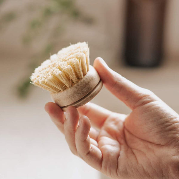 Plant Based Kitchen Scrubber Brush (6 Piece Starter Set)-5
